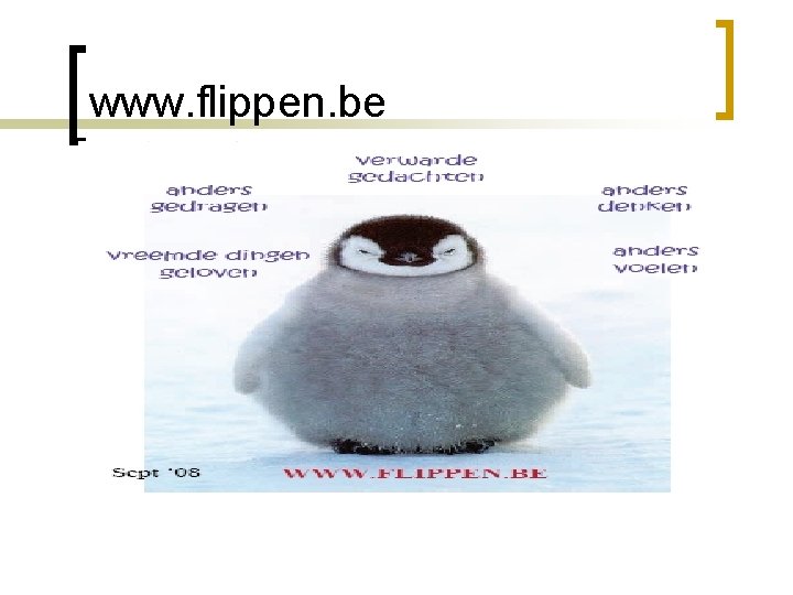 www. flippen. be 