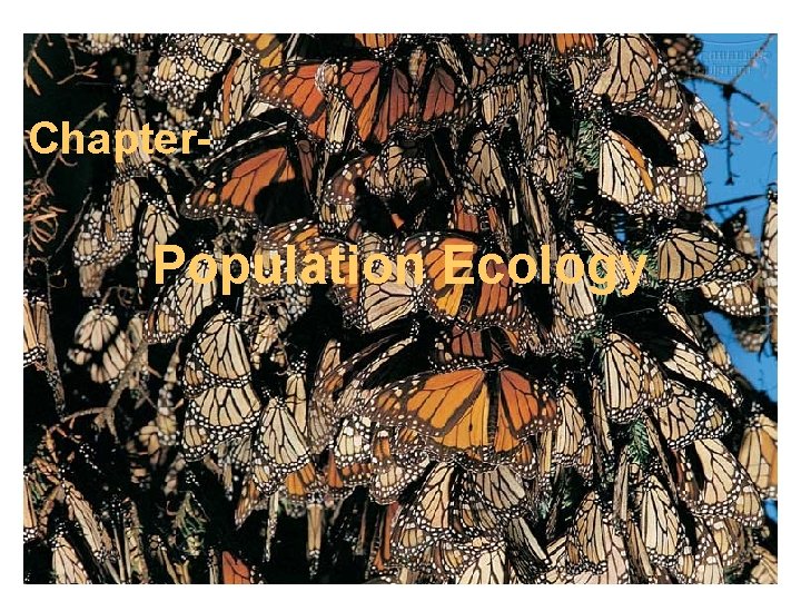 Chapter- Population Ecology 