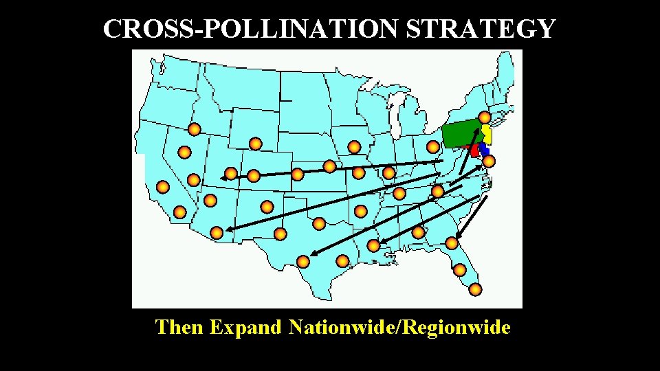 CROSS-POLLINATION STRATEGY Then Expand Nationwide/Regionwide 