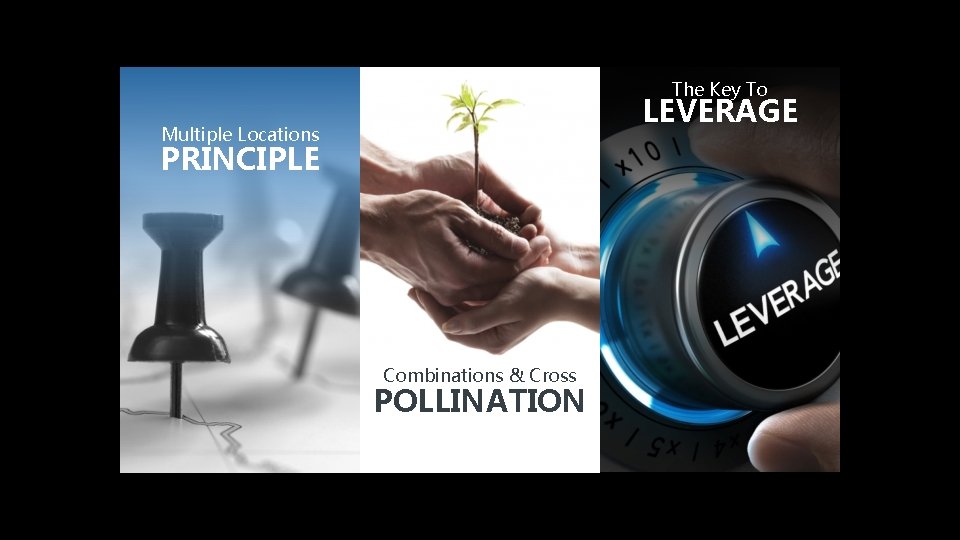 The Key To LEVERAGE Multiple Locations PRINCIPLE Combinations & Cross POLLINATION 