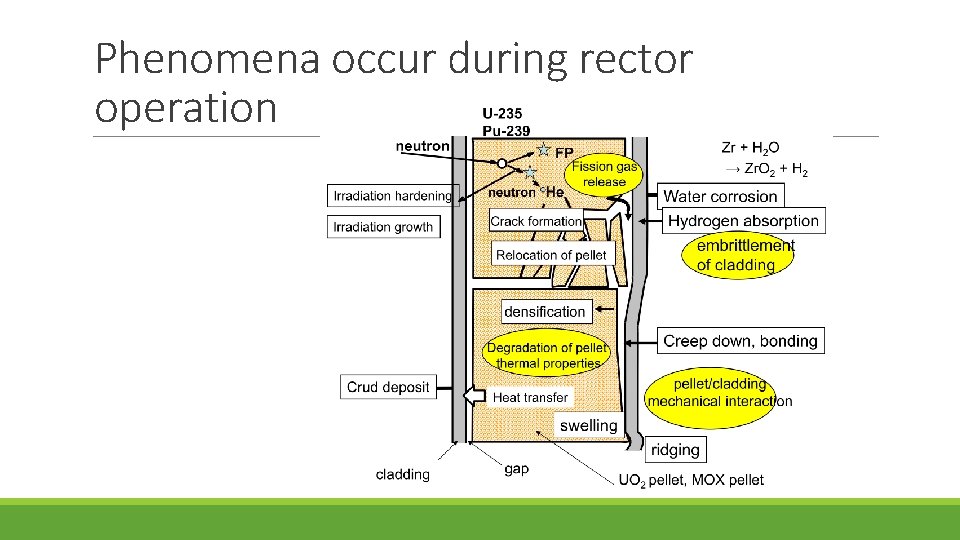 Phenomena occur during rector operation 