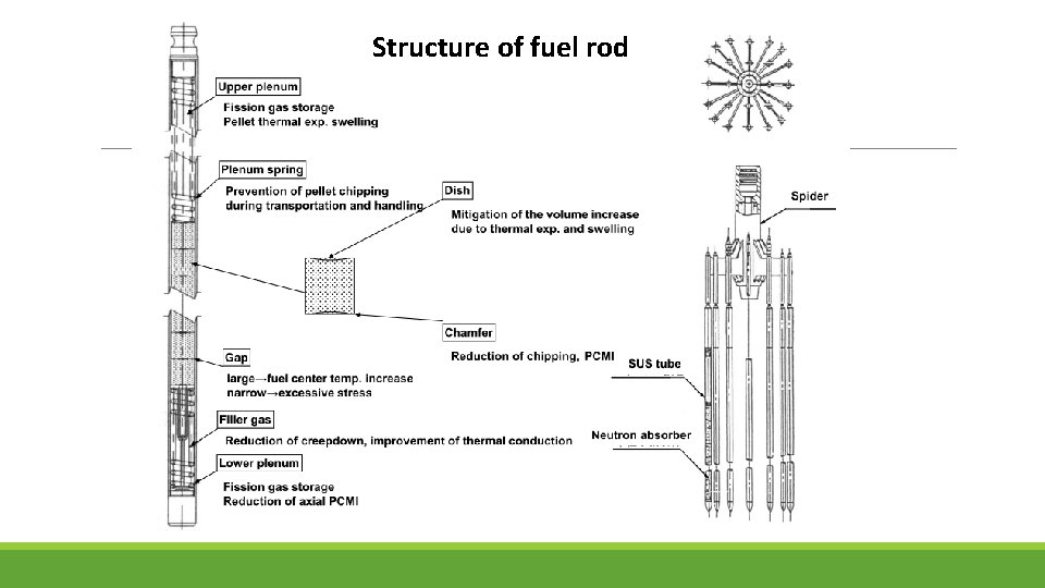 Structure of fuel rod 