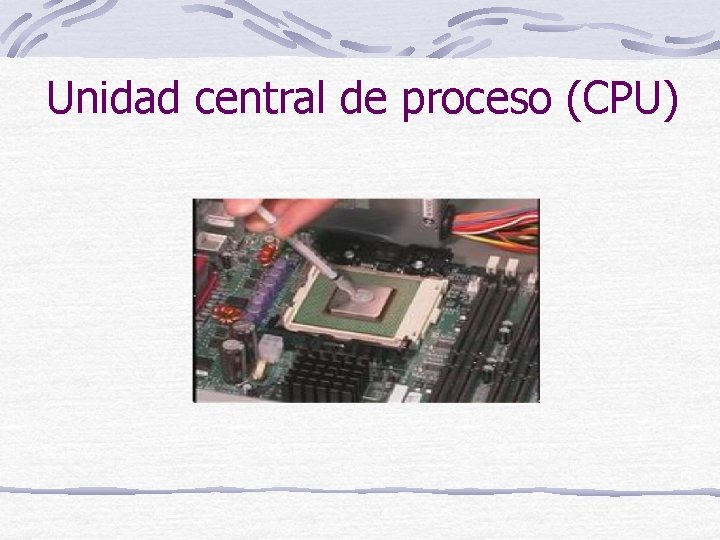 Unidad central de proceso (CPU) 
