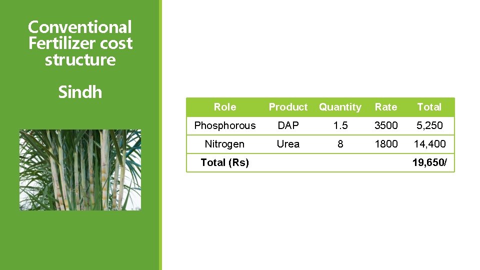 Conventional Fertilizer cost structure Sindh Role Product Quantity Rate Total Phosphorous DAP 1. 5 Conventional Fertilizer cost structure Sindh Role Product Quantity Rate Total Phosphorous DAP 1. 5