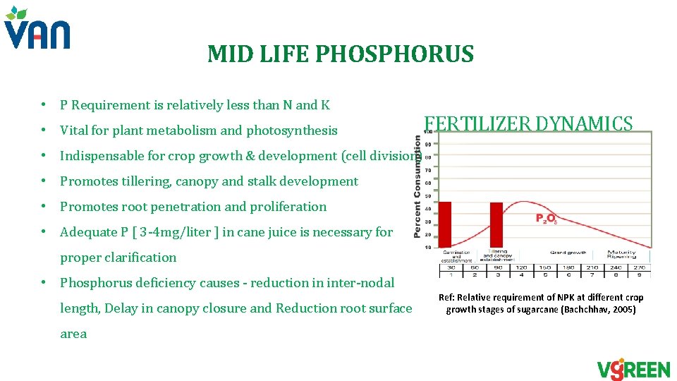 MID LIFE PHOSPHORUS • P Requirement is relatively less than N and K • MID LIFE PHOSPHORUS • P Requirement is relatively less than N and K •