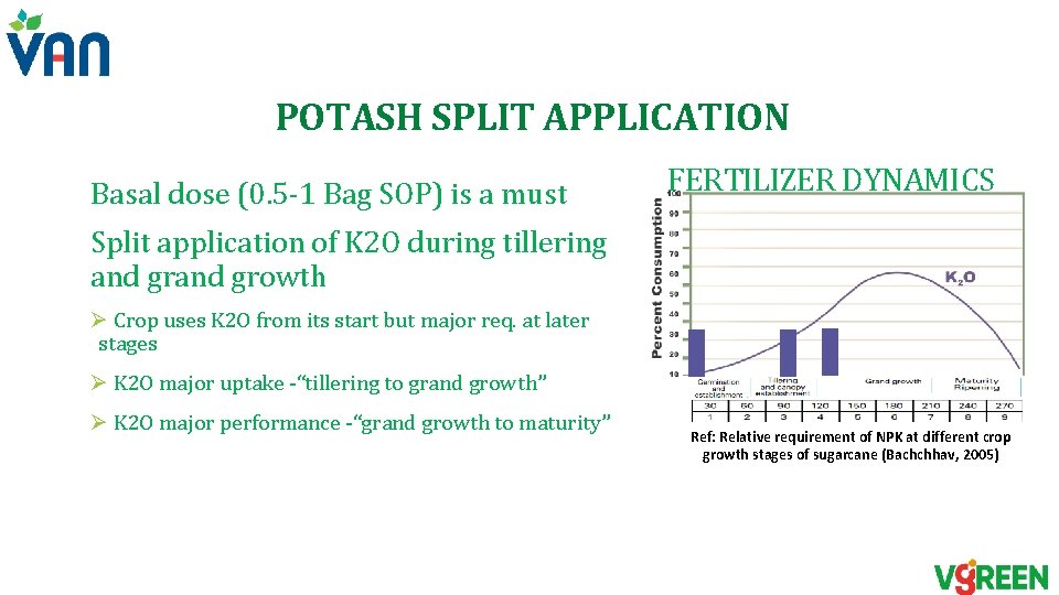 POTASH SPLIT APPLICATION Basal dose (0. 5 -1 Bag SOP) is a must FERTILIZER POTASH SPLIT APPLICATION Basal dose (0. 5 -1 Bag SOP) is a must FERTILIZER