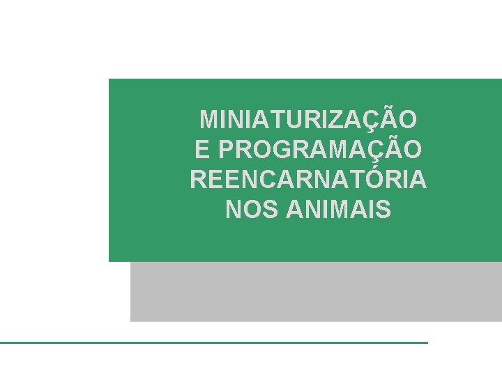 MINIATURIZAÇÃO E PROGRAMAÇÃO REENCARNATÓRIA NOS ANIMAIS 