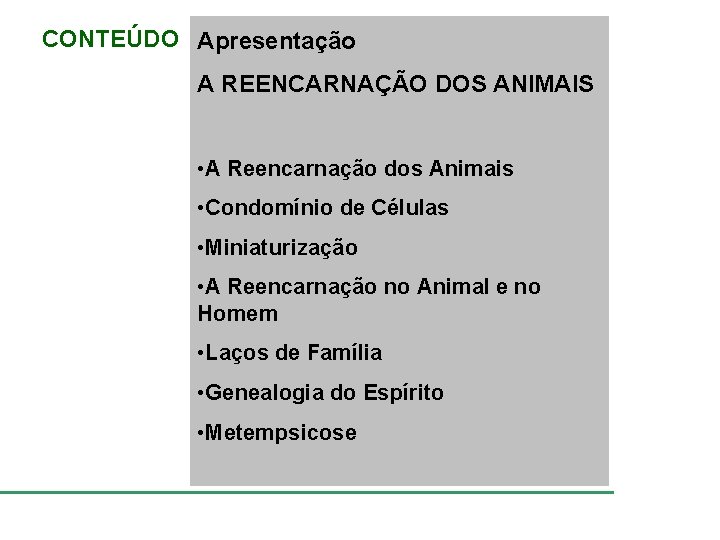 CONTEÚDO Apresentação A REENCARNAÇÃO DOS ANIMAIS • A Reencarnação dos Animais • Condomínio de