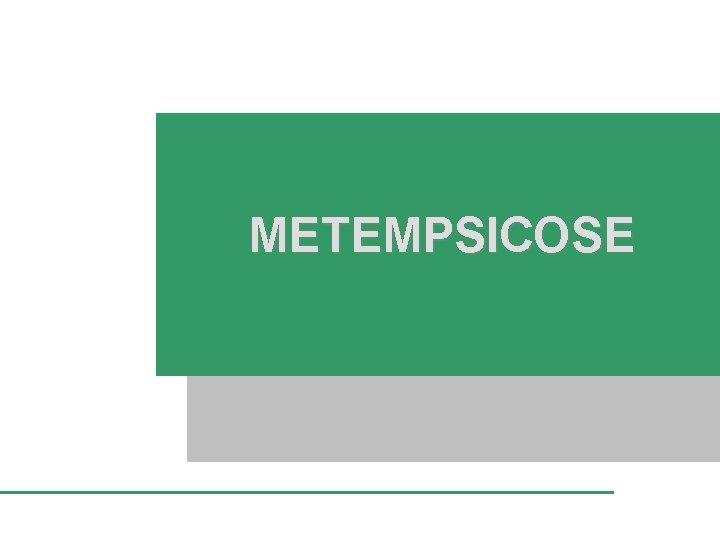 METEMPSICOSE 