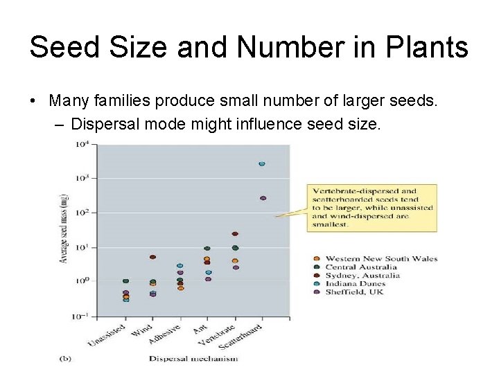 Seed Size and Number in Plants • Many families produce small number of larger