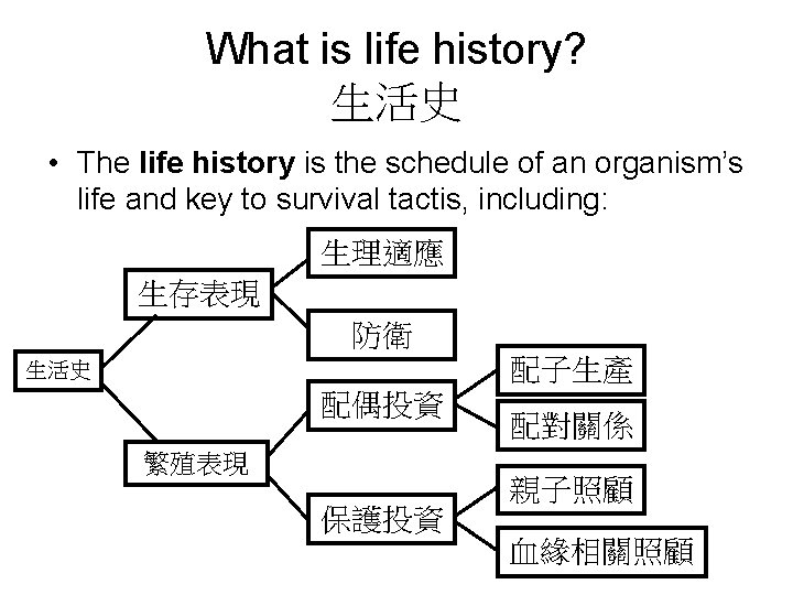 What is life history? 生活史 • The life history is the schedule of an