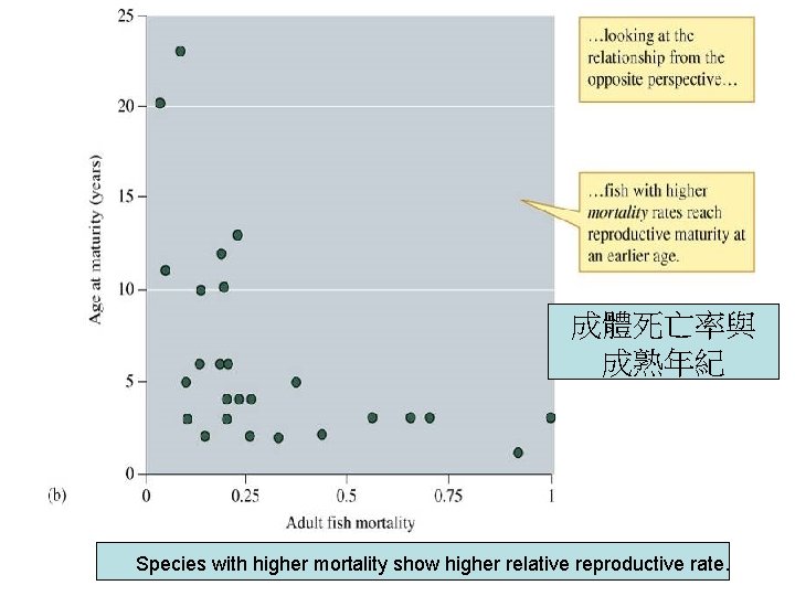 成體死亡率與 成熟年紀 Species with higher mortality show higher relative reproductive rate. 