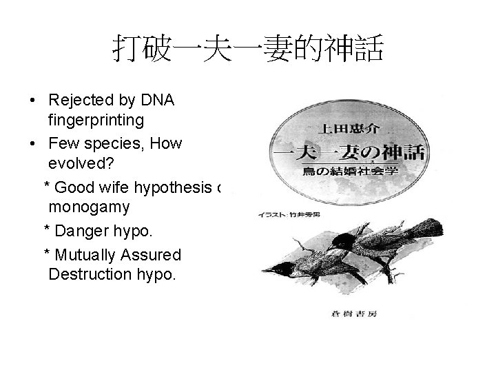 打破一夫一妻的神話 • Rejected by DNA fingerprinting • Few species, How evolved? * Good wife