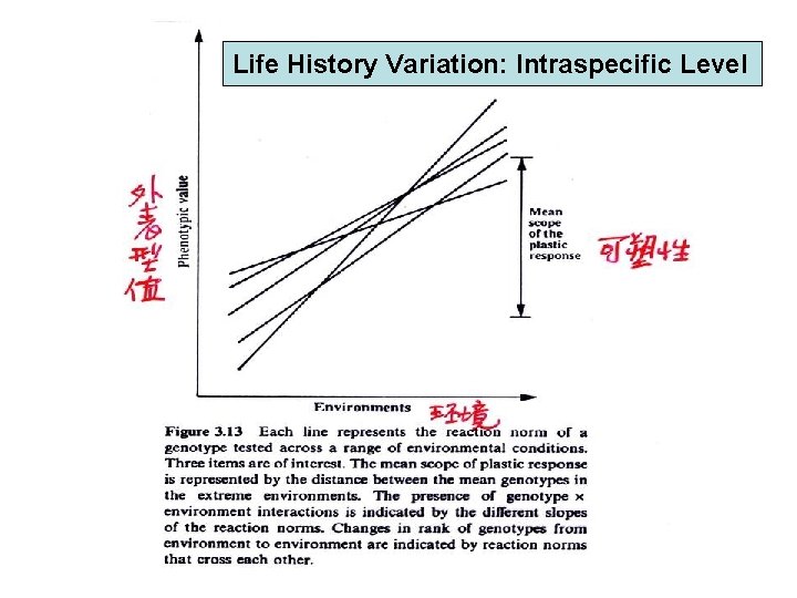 Life History Variation: Intraspecific Level 