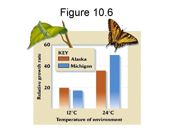 Figure 10. 6 