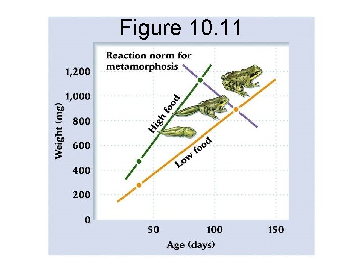 Figure 10. 11 