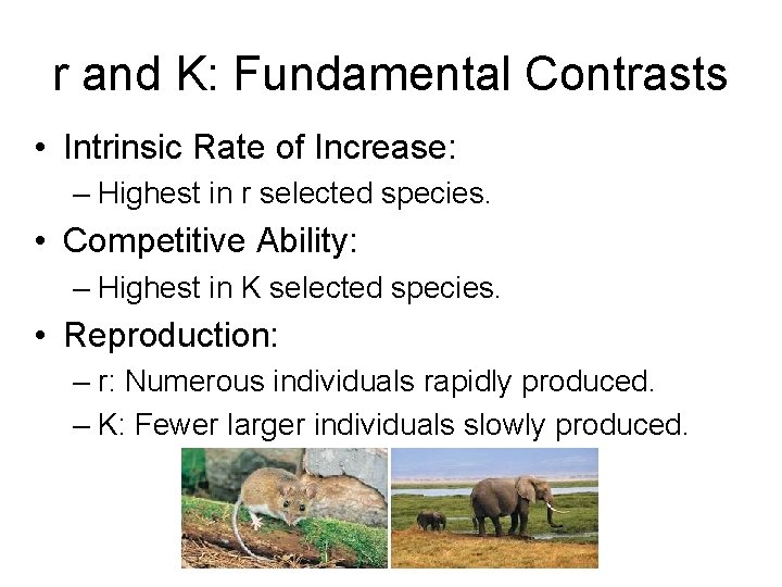 r and K: Fundamental Contrasts • Intrinsic Rate of Increase: – Highest in r