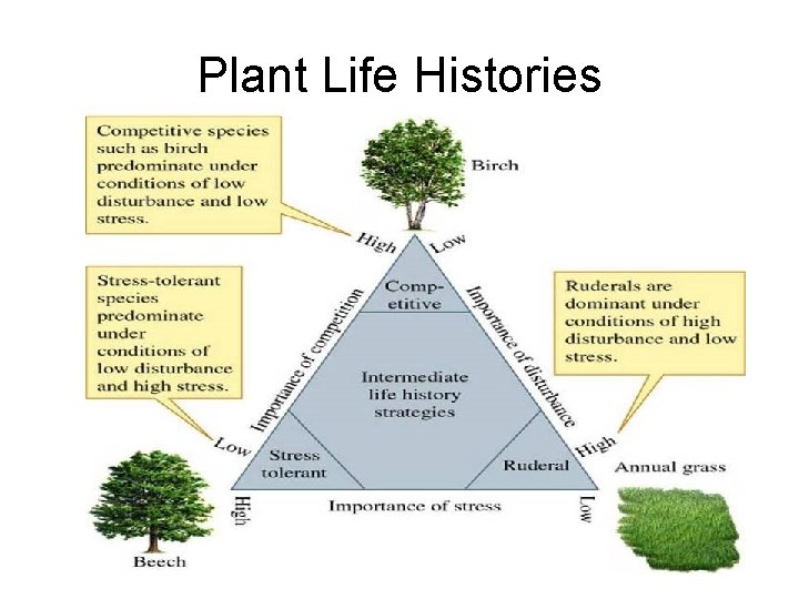 Plant Life Histories 