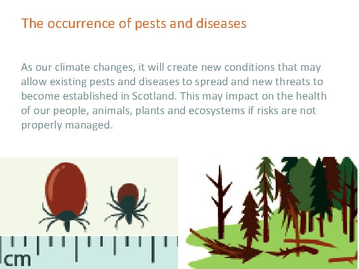 The occurrence of pests and diseases As our climate changes, it will create new