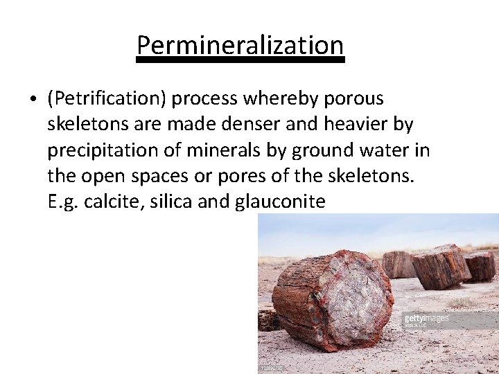 Permineralization • (Petrification) process whereby porous skeletons are made denser and heavier by precipitation