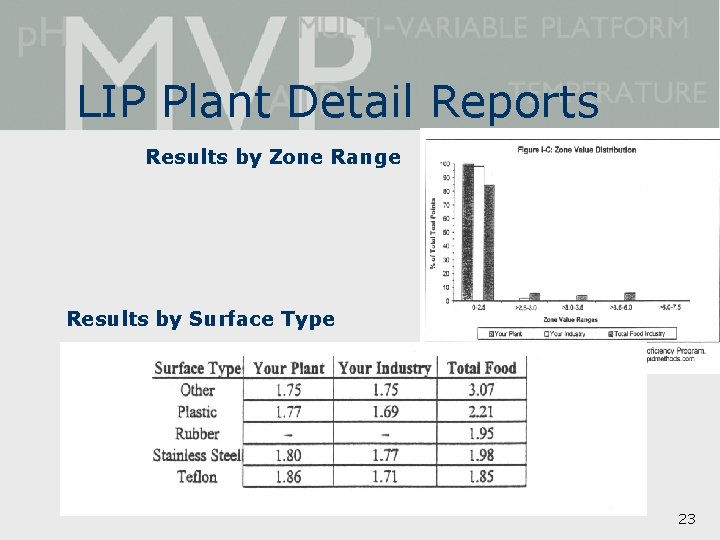 LIP Plant Detail Reports Results by Zone Range Results by Surface Type 23 