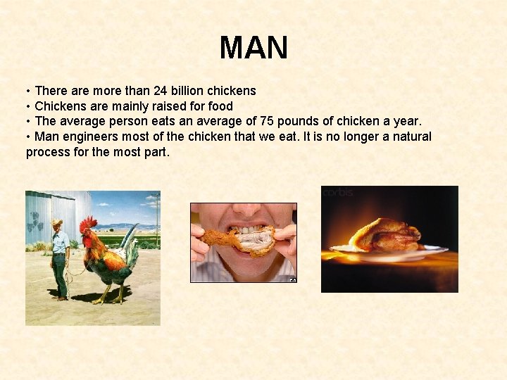 MAN • There are more than 24 billion chickens • Chickens are mainly raised