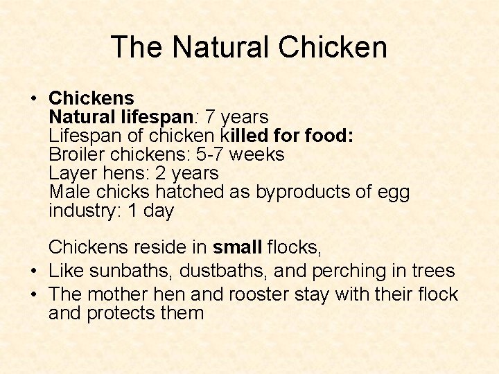 The Natural Chicken • Chickens Natural lifespan: 7 years Lifespan of chicken killed for