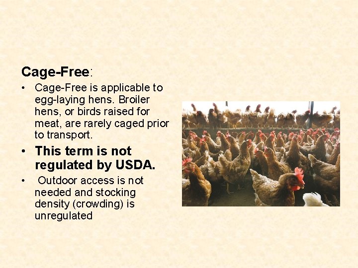 Cage-Free: • Cage-Free is applicable to egg-laying hens. Broiler hens, or birds raised for