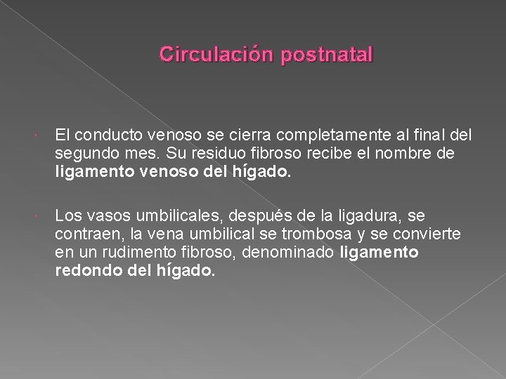 Circulación postnatal El conducto venoso se cierra completamente al final del segundo mes. Su