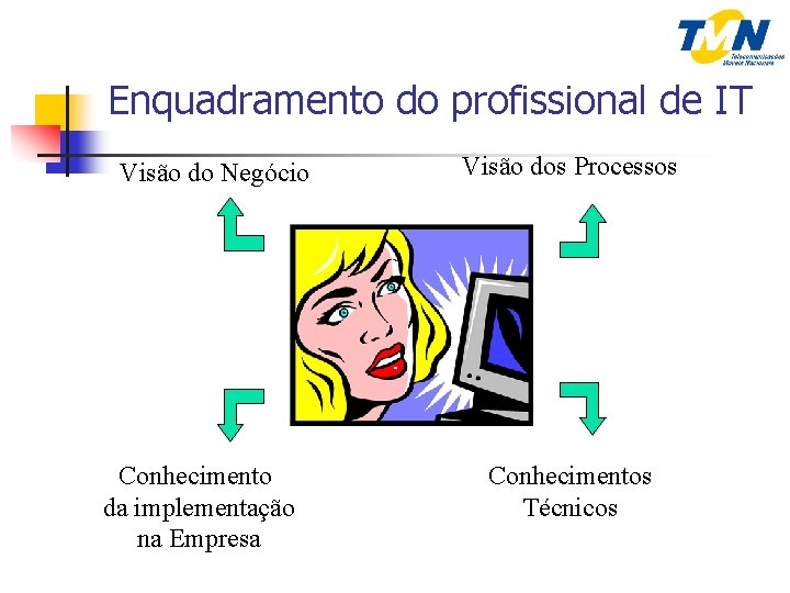 Enquadramento do profissional de IT Visão do Negócio Conhecimento da implementação na Empresa Visão