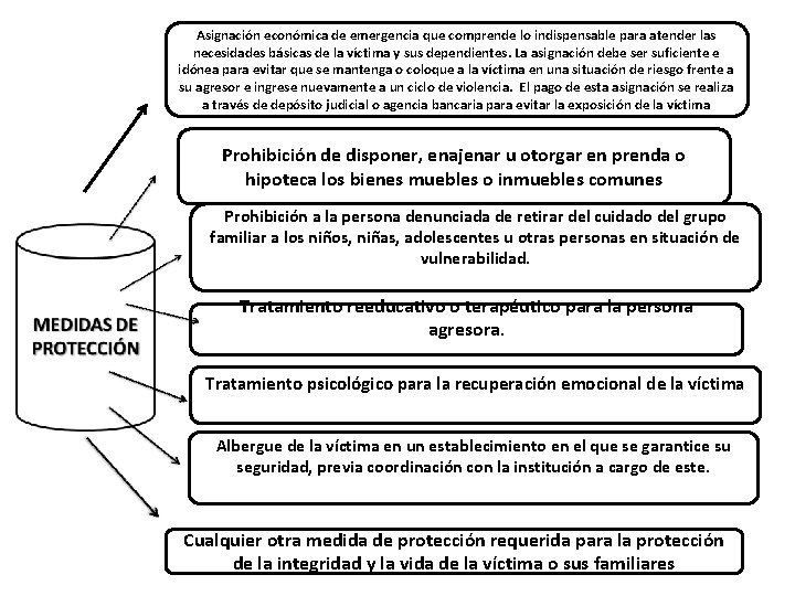 Asignación económica de emergencia que comprende lo indispensable para atender las necesidades básicas de