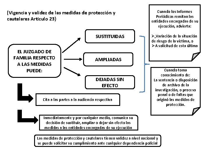 (Vigencia y validez de las medidas de protección y cautelares Articulo 23) SUSTITUIDAS EL