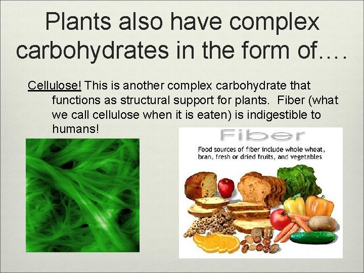 Plants also have complex carbohydrates in the form of…. Cellulose! This is another complex