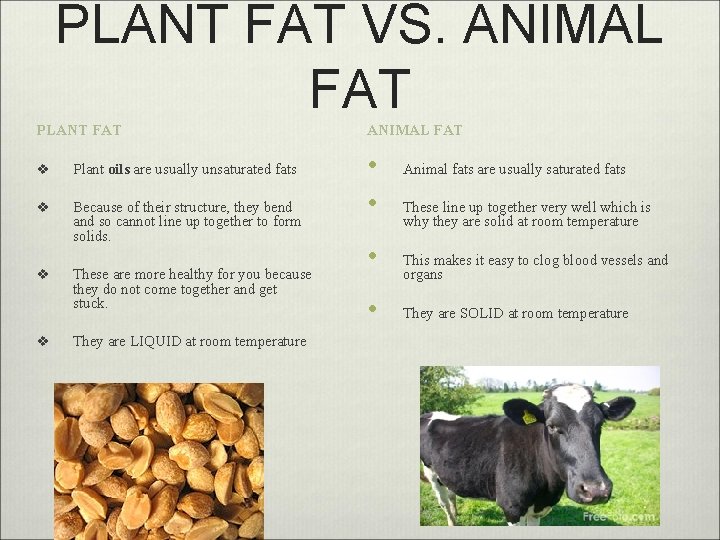 PLANT FAT VS. ANIMAL FAT PLANT FAT v Plant oils are usually unsaturated fats