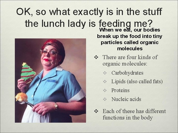 OK, so what exactly is in the stuff the lunch lady is feeding me?