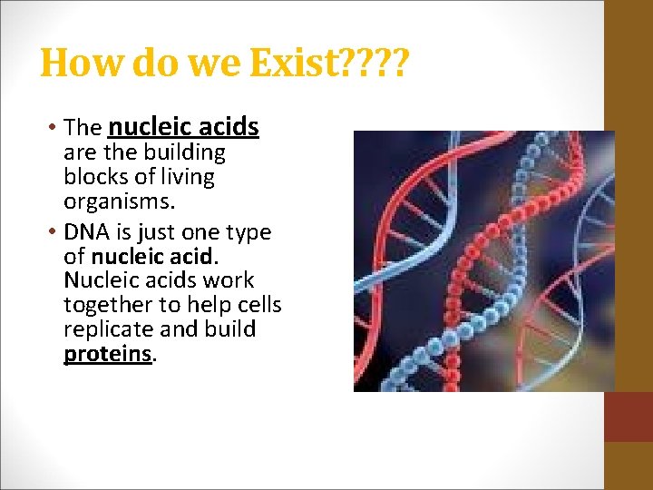 How do we Exist? ? • The nucleic acids are the building blocks of