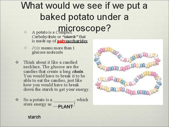 What would we see if we put a baked potato under a microscope? v