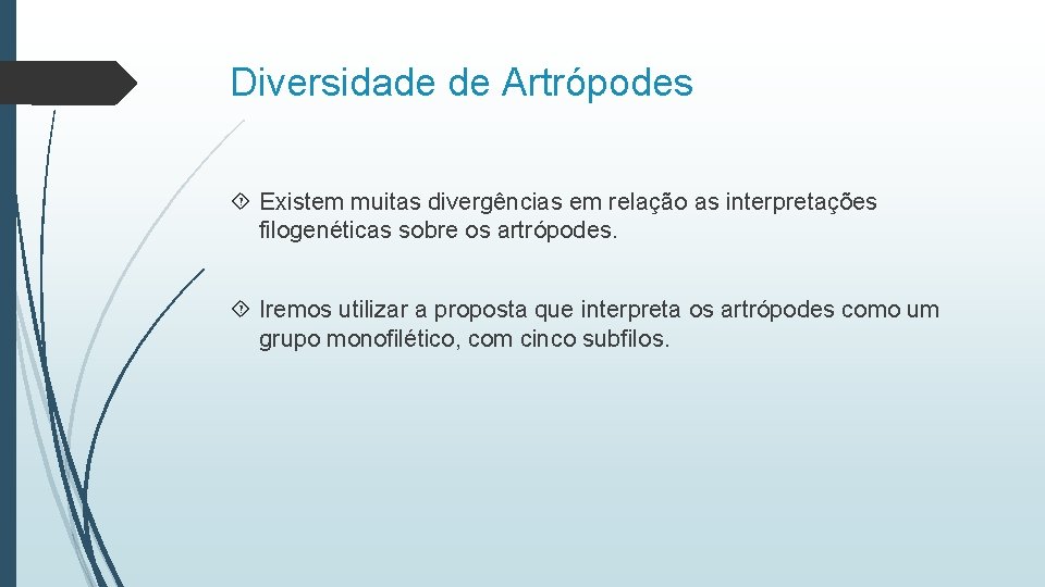 Diversidade de Artrópodes Existem muitas divergências em relação as interpretações filogenéticas sobre os artrópodes.