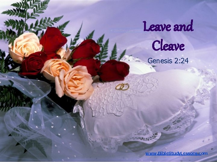 Leave and Cleave Genesis 2: 24 www. Bible. Study. Lessons. com 