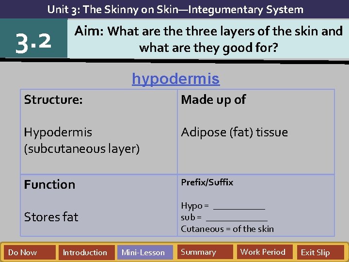 Unit 3: The Skinny on Skin—Integumentary System 3. 2 Aim: What are three layers