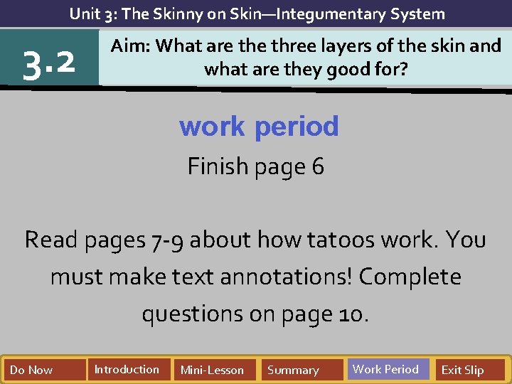 Unit 3: The Skinny on Skin—Integumentary System 3. 2 Aim: What are three layers