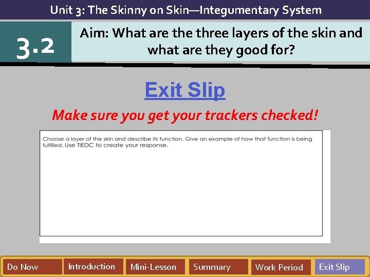 Unit 3: The Skinny on Skin—Integumentary System 3. 2 Aim: What are three layers