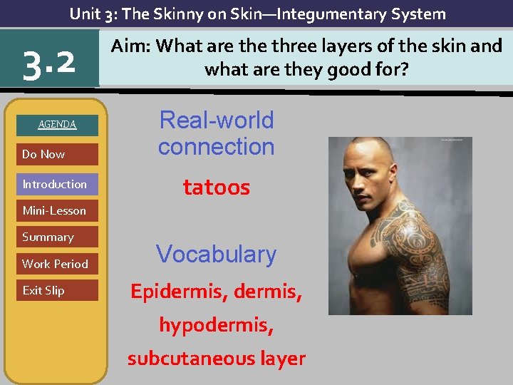 Unit 3: The Skinny on Skin—Integumentary System 3. 2 AGENDA Do Now Introduction Aim: