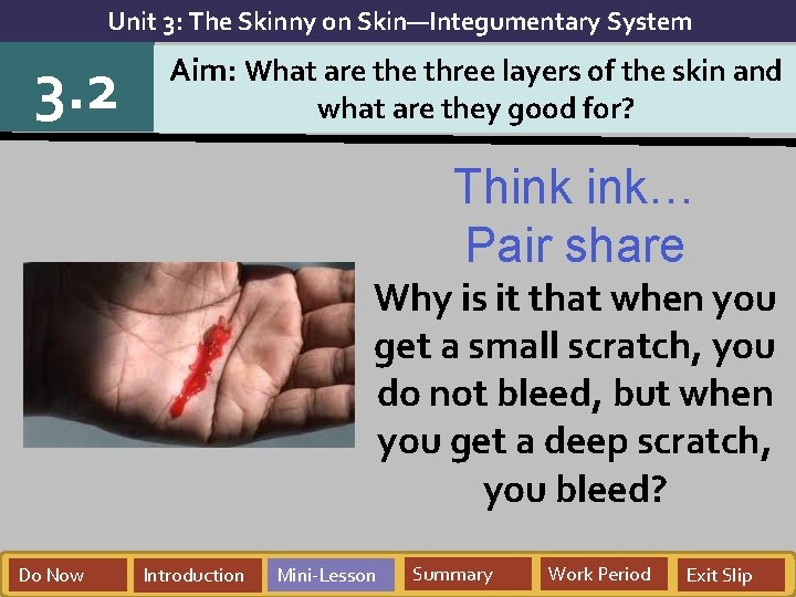 Unit 3: The Skinny on Skin—Integumentary System 3. 2 Aim: What are three layers