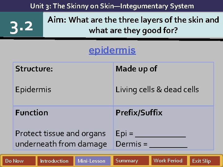 Unit 3: The Skinny on Skin—Integumentary System 3. 2 Aim: What are three layers