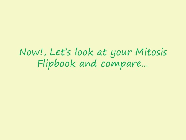 Now!, Let’s look at your Mitosis Flipbook and compare… 