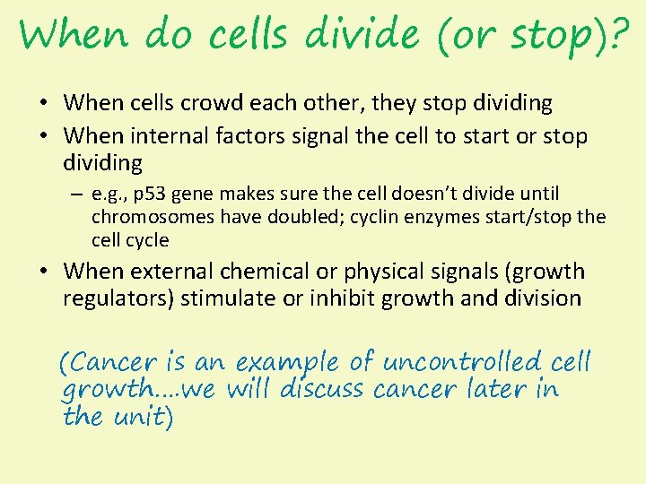 When do cells divide (or stop)? • When cells crowd each other, they stop