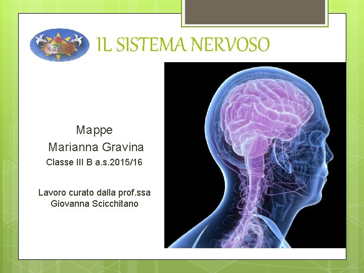 IL SISTEMA NERVOSO Mappe Marianna Gravina Classe III B a. s. 2015/16 Lavoro curato IL SISTEMA NERVOSO Mappe Marianna Gravina Classe III B a. s. 2015/16 Lavoro curato
