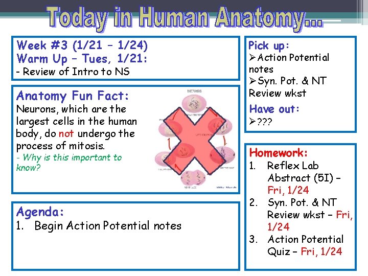 Week #3 (1/21 – 1/24) Warm Up – Tues, 1/21: - Review of Intro