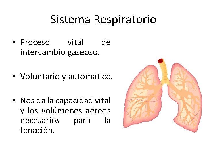 Sistema Respiratorio • Proceso vital de intercambio gaseoso. • Voluntario y automático. • Nos Sistema Respiratorio • Proceso vital de intercambio gaseoso. • Voluntario y automático. • Nos